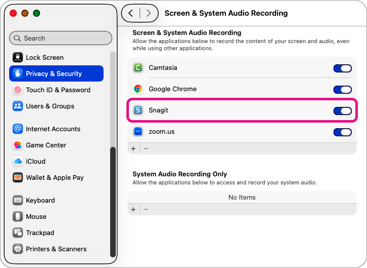 Screen and System Audio Recording settings