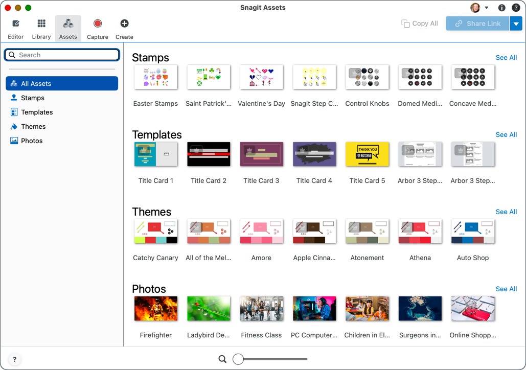Assets in Snagit Editor