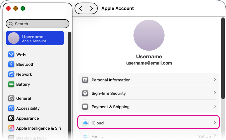 Mac System Settings