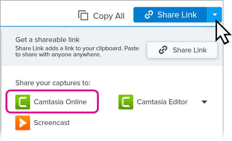 Camtasia Online in the Share dropdown