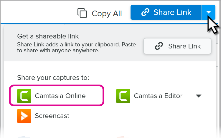 Camtasia Online in the Share menu