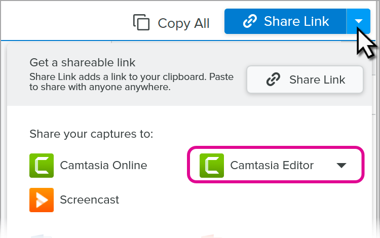 Camtasia Editor in the Share menu