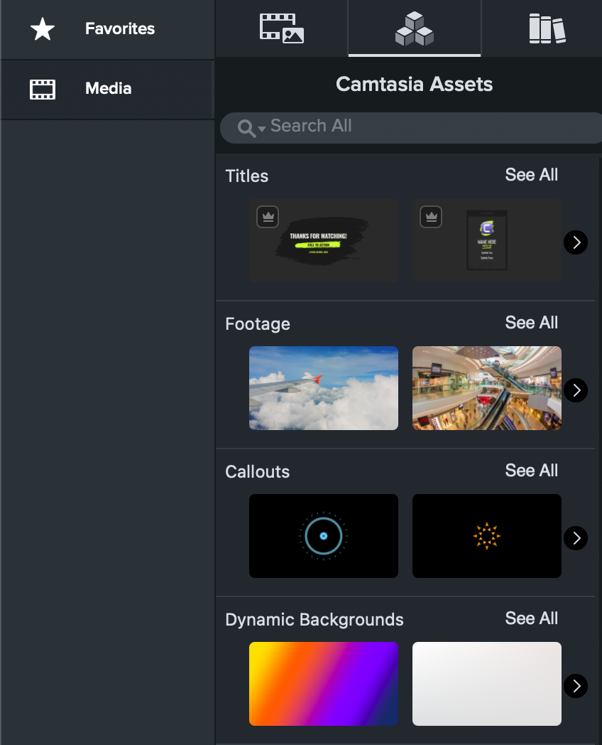 Camtasia Assets subtab