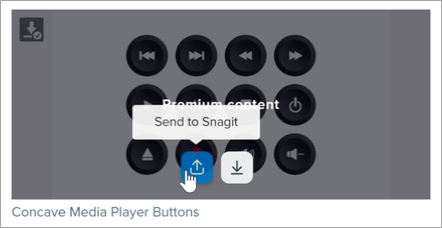 Send to Snagit button on the Assets site