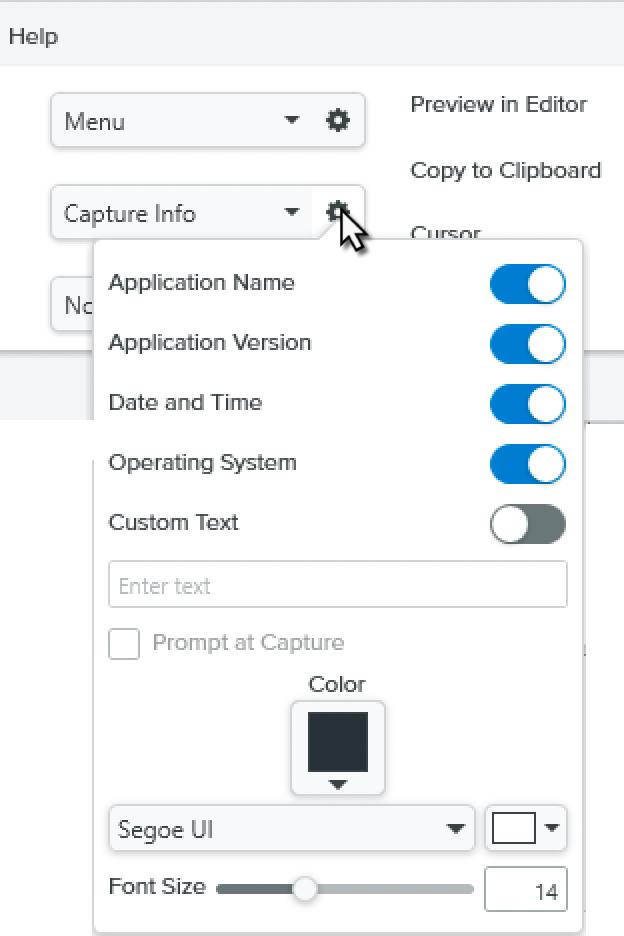 Select Capture Info option in Effects dropdown