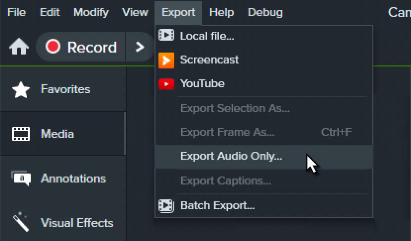 Export audio only