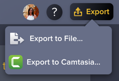 Audiate Export menu