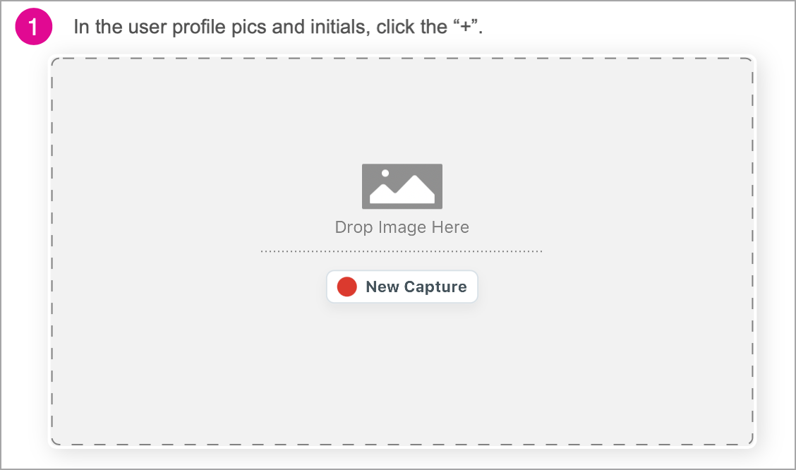 New Capture button in the Step Capture drop zone
