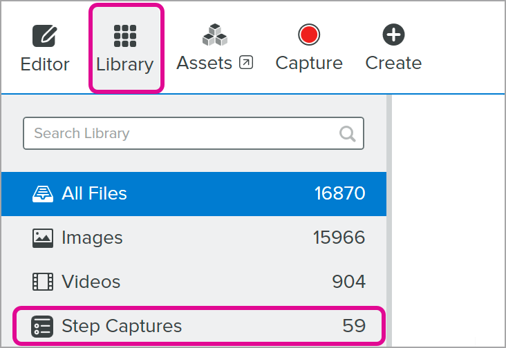 Step Captures category in the Snagit Library
