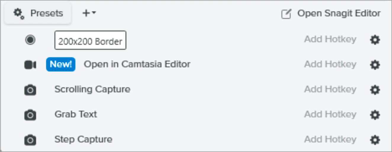 Type name in Preset field