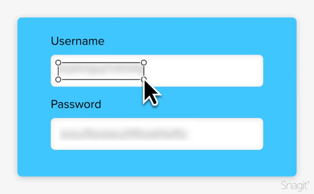 Hide sensitive information from visuals with Snagit.