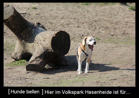 Meme vom gähnenden Hund