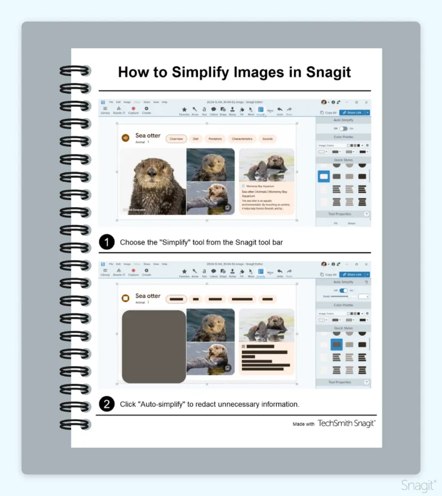 User manual showing how to simplify images in Snagit