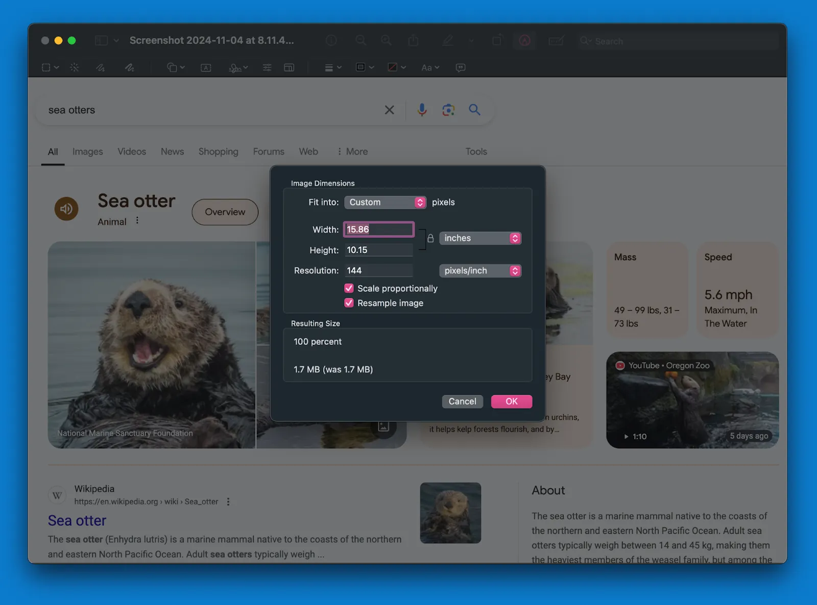 Image of Mac's capture options.