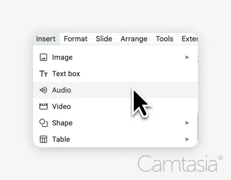 Mouse hovering over "audio"