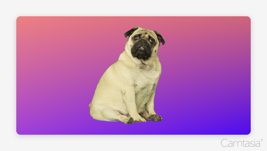 Creating with Portable Chroma Key Green Screen | TechSmith