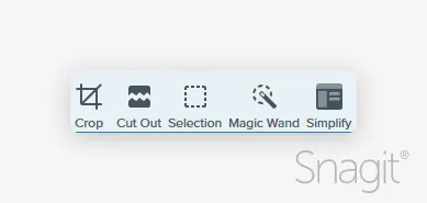 Crop, cut out, selection, magic wand, and simplify tools in the snagit tool bar.