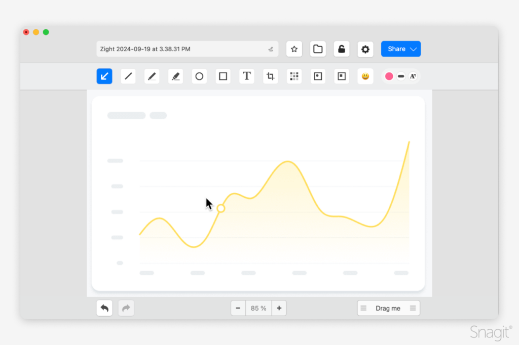 Zight interface with a simplified chart on the workspace and editing tools