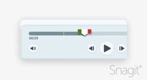 An image of a clipped video in Snagit.