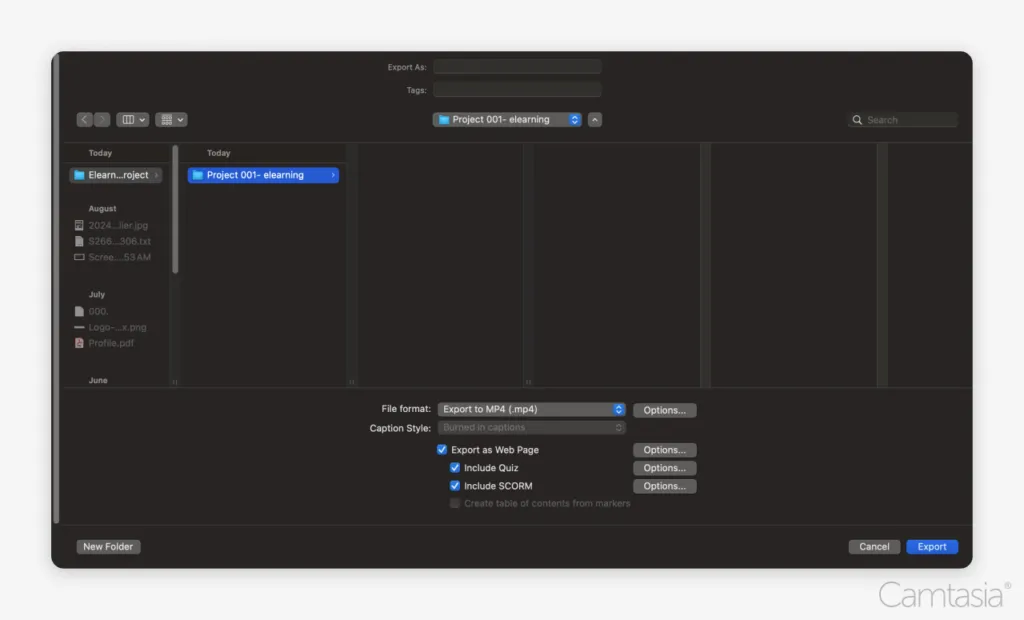 Exporting a file and clicking "include SCORM."