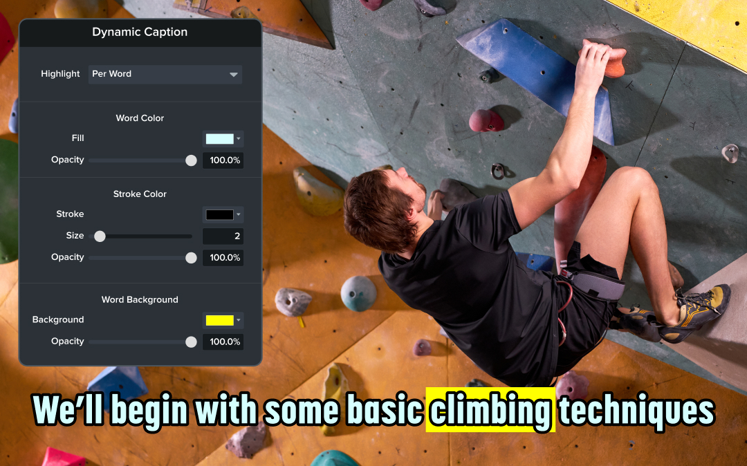 Dynamic Captions properties panel showing adjustment options in Camtasia editor.