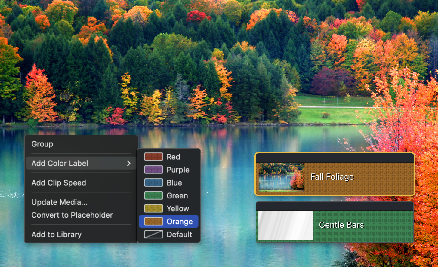 Camtasia editor UI showing options for adding color labels to media tracks.