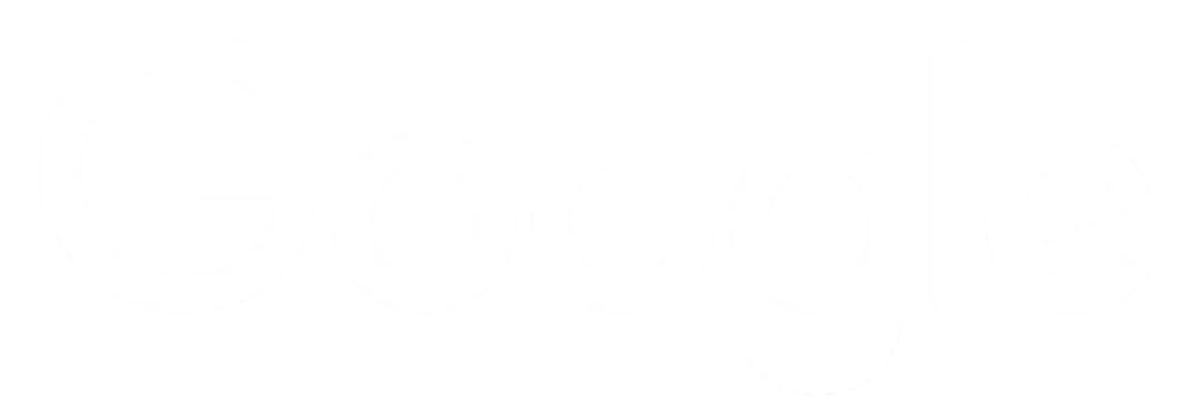 white google logo