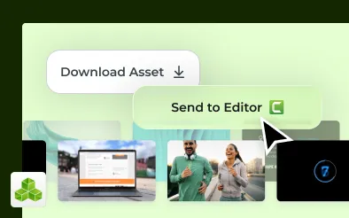 Camtasia Assets