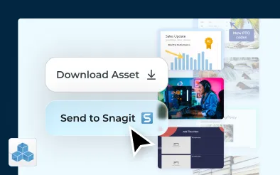 Snagit Assets